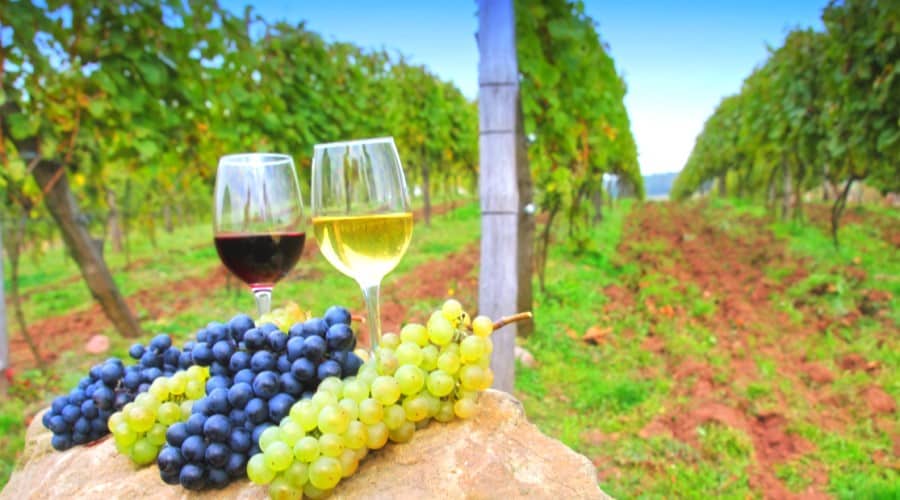 10_a la carte_degustaion de vin